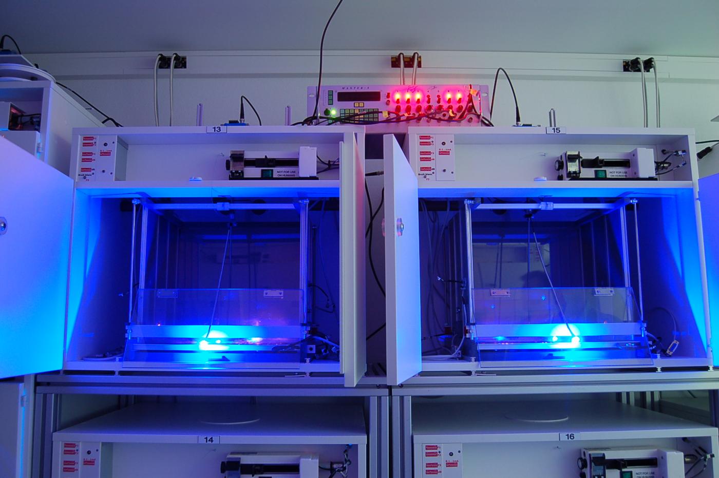 Gaiolas de laboratório com luzes para experimentos de optogenética